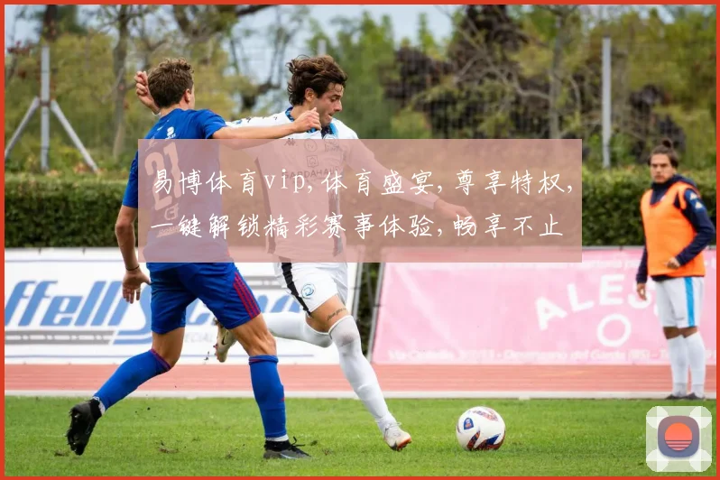 易博体育vip,体育盛宴,尊享特权,一键解锁精彩赛事体验,畅享不止