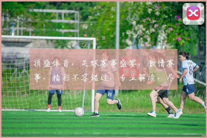 顶盛体育，足球赛事盛宴，激情赛事，精彩不容错过，专业解读，尽在掌握