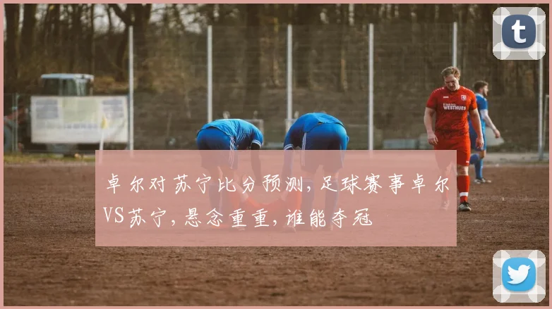 卓尔对苏宁比分预测,足球赛事卓尔VS苏宁,悬念重重,谁能夺冠