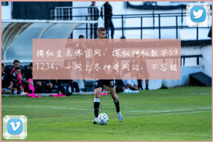 揭秘金光佛官网，探秘神秘数字691234，一网打尽神奇网站，不容错过